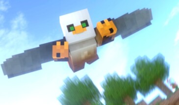 Бразильские элитры раздора!