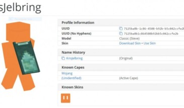 Замечен игрок с плащём с Minecon-2016