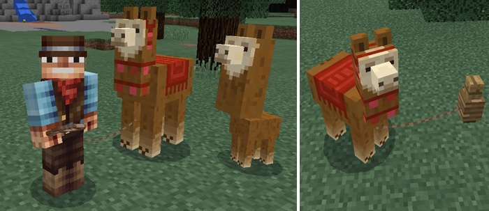 llama-addon