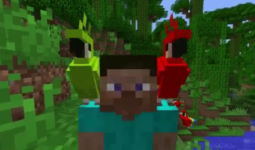 Об особенностях попугаев