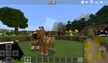Minecraft 1.2.6 beta 1 — мобильные лошадки