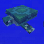 Билли-черепаха или о том, как черепаха попала в Minecraft