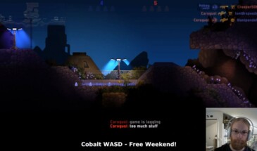 Джеб, во время стрима Cobalt WASD, рассказал о Minecraft
