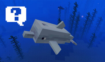 Разговор с дельфинами