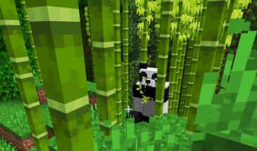 Как китайские игроки «выбрали» моба, который будет добавлен в Minecraft