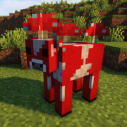 Муухомор станет муушрумом или мушрумом