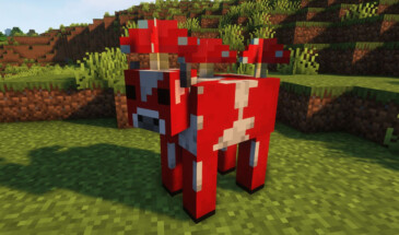 Муухомор станет муушрумом или мушрумом